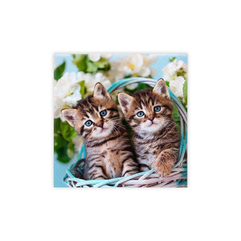 Servetter Kattungar 33x33cm 20-pack