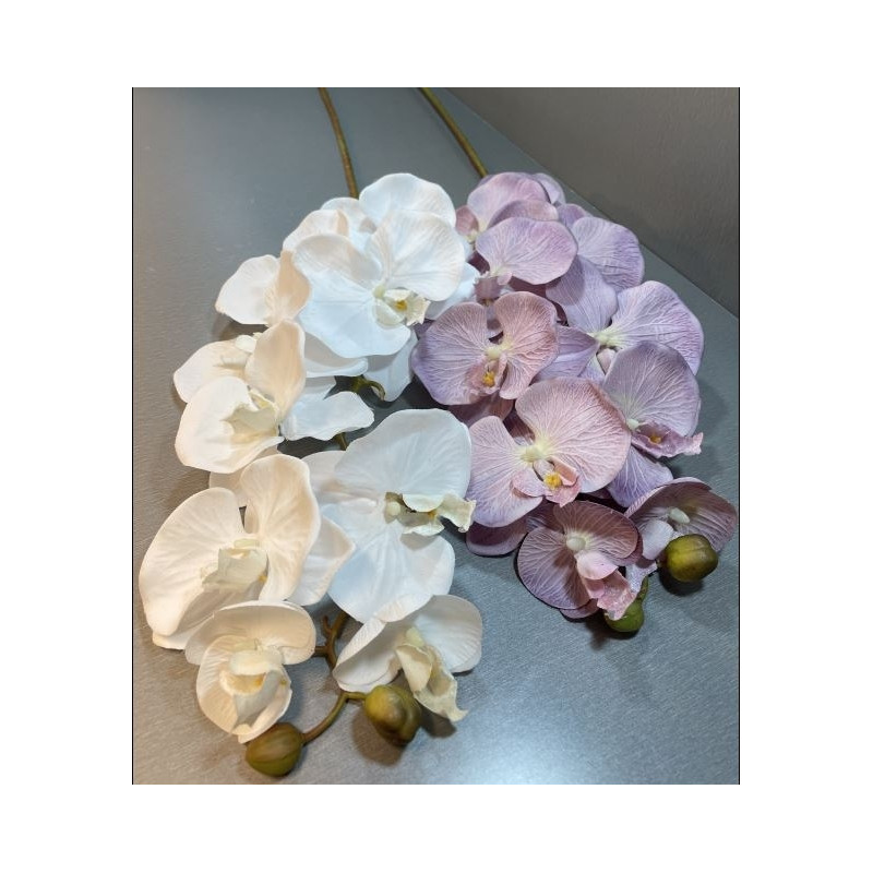 Orkidé Kvist Lila