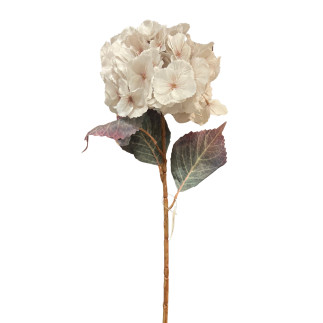 Hortensia Klot Lila 70 cm