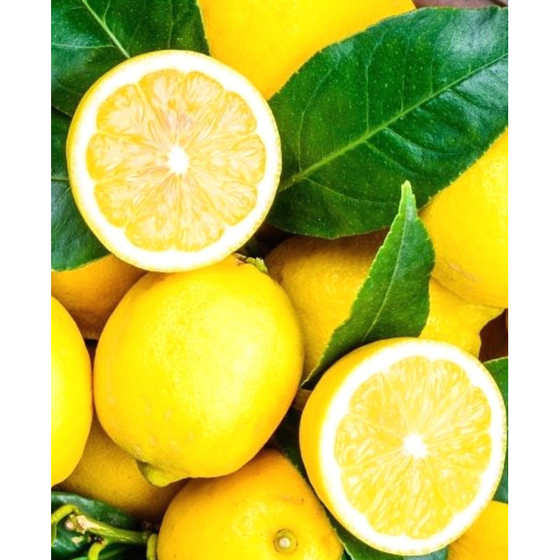 Doftolja Citron 10 ml Doftolja Citron 10 ml