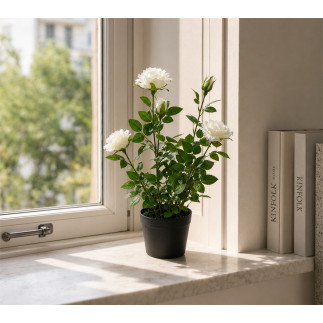 Ros i kruka Vit 41 cm