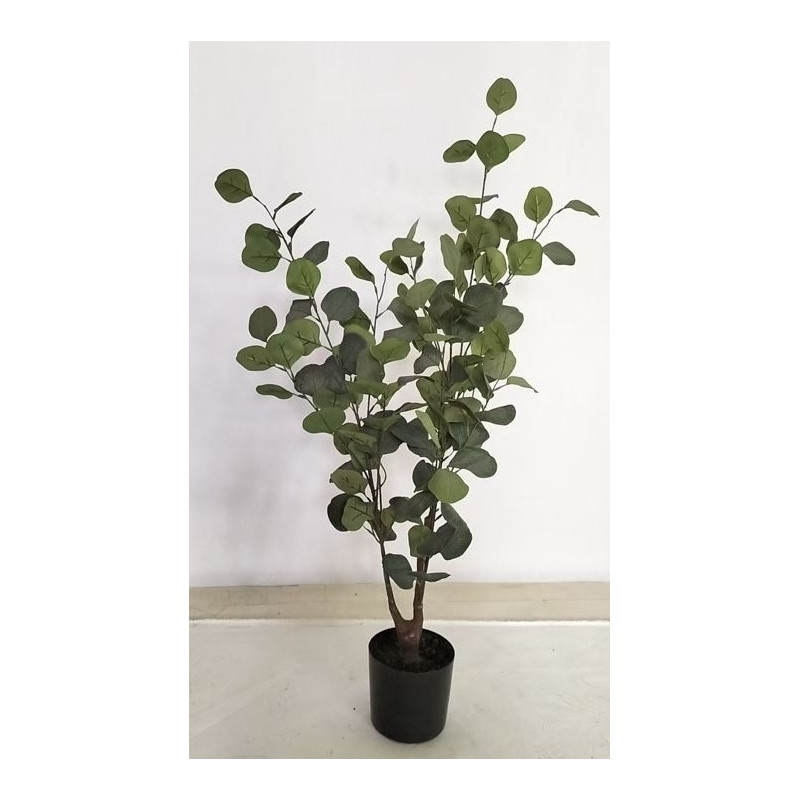 Eukalyptus Träd 95 cm