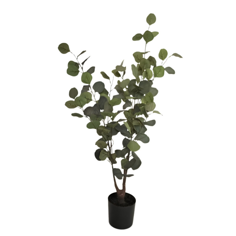 Eukalyptus Träd 95 cm